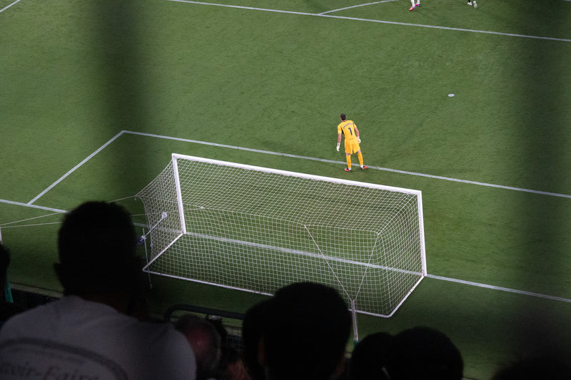 View of a goal and the pitch from the stands, framed by the silhouettes of seated spectators