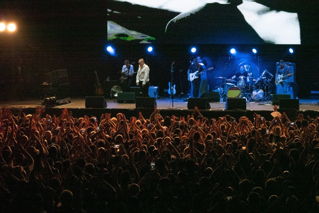 Packed concert crowd with arms and phone lights raised toward a distant stage