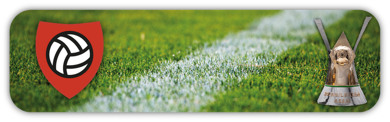 Brasileirao Serie A Tickets