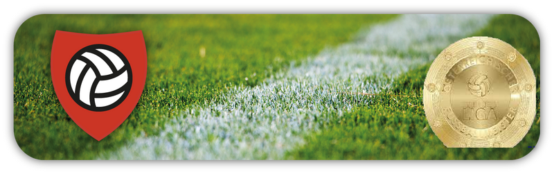 Bundesliga Austria Tickets