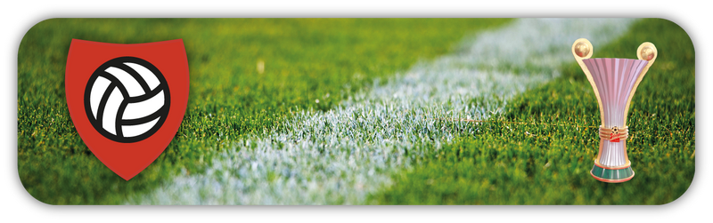 Austrian Cup Tickets