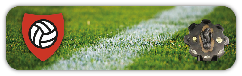 Qatari Stars Cup Tickets