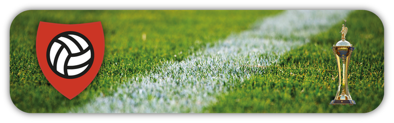 Ukrainian Cup Tickets
