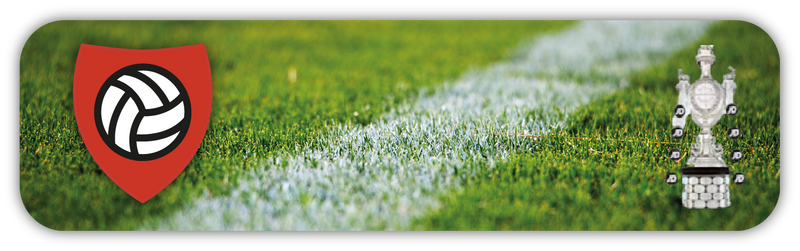 Wales Cup Tickets